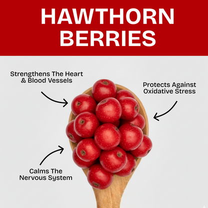 Cayenne Blend - Circulation Blood Pressure