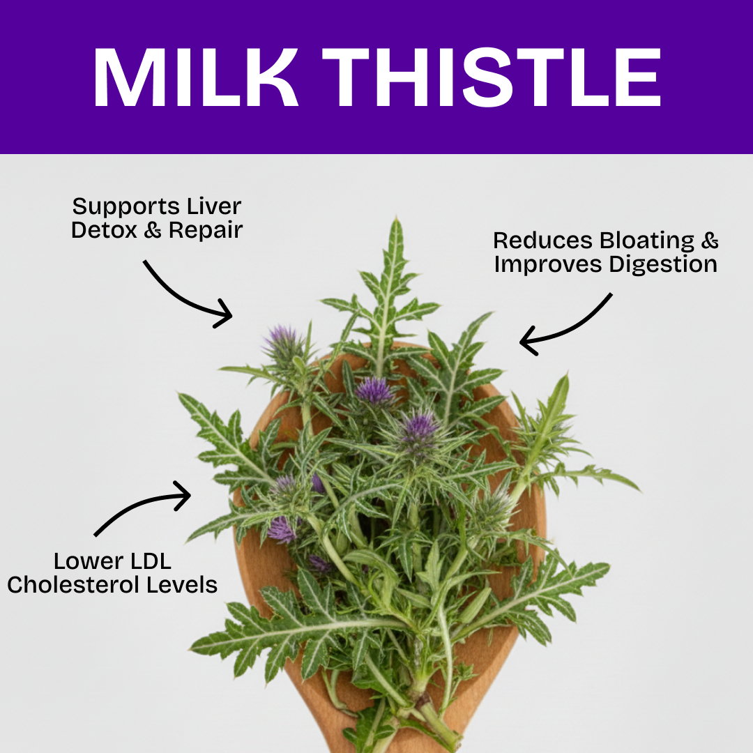 Herba's Milk Thistle Drops