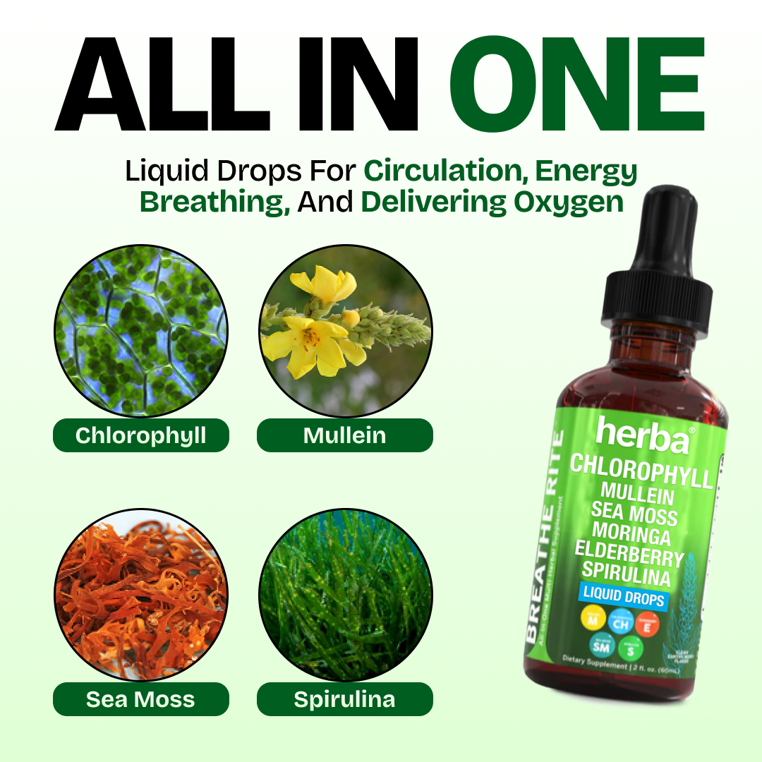 Herba's Chlorophyll Blend