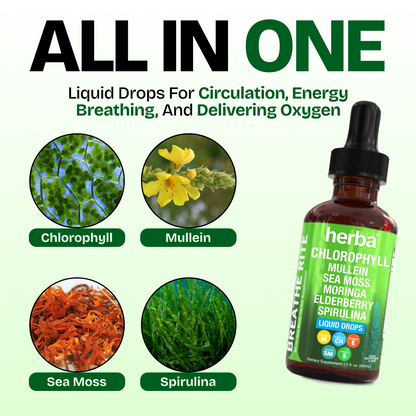 Herba's Chlorophyll Blend