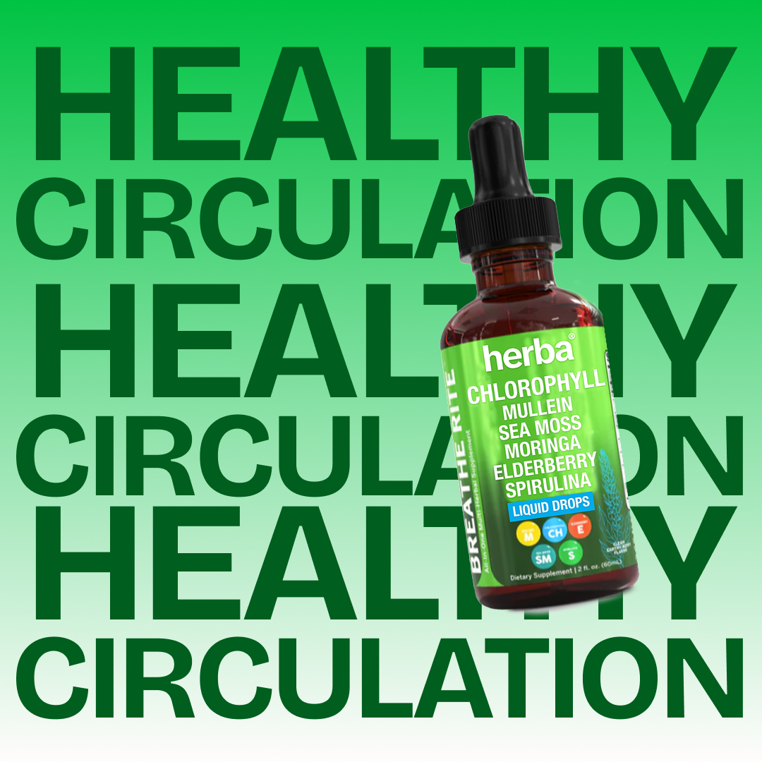 Herba's Chlorophyll Blend