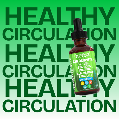 Herba's Chlorophyll Blend
