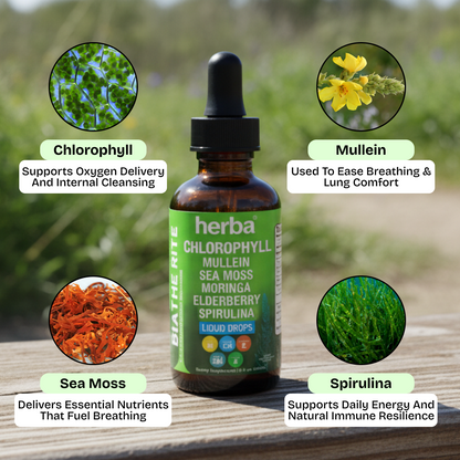 Herba's Chlorophyll Blend
