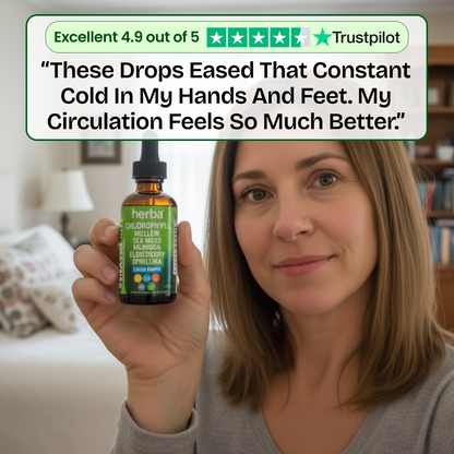 Herba's Chlorophyll Blend